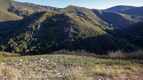 El monte de Cereixedo esta misma semana, con algunas partes donde el terreno se ha recuperado lentamente