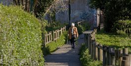 Los caminos que cruzan este espacio verde junto al coraz�n del casco antiguo atrae a no pocos caminantes, que los transitan con placidez.