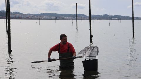 Un parquista trabaja intentando devolver la normalidad a sus viveros.