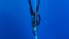 El desvanecimiento de Ram�n Carre�o