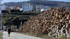 Madera de eucalipto apilada en Burela, en imagen de archivo