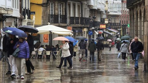 chove