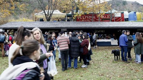 La Festa da Pisa da Castaa se celebra siempre en diciembre en el pueblo de Froxn, en el municipio de Folgoso do Courel
