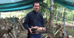 El hongo  que promueven los comuneros de Couso se cultiva sobre troncos de roble y casta�o. 