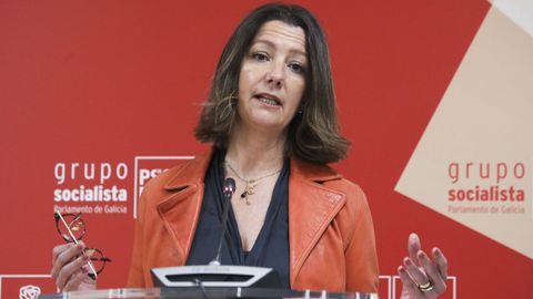 La diputada autonmica y viceportavoz del grupo socialista, Lara Mndez.