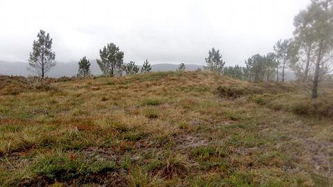 A contorna, de gran relevancia histrica e medioambiental, corra o risco de desaparecer