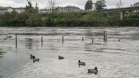 Termas de A Chavasqueira bajo el agua