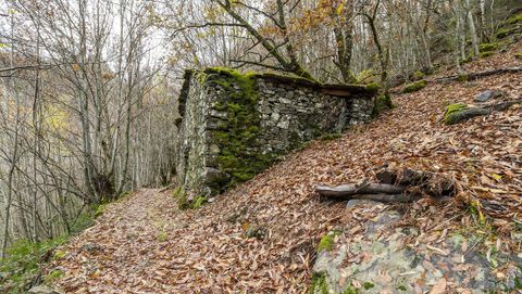 El camino que lleva a la cascada pasa junto a una antigua caba�a