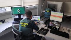 Un investigador de la Guardia Civil examinando datos de una p�gina web