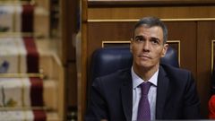 El presidente del gobierno Pedro Snchez, durante el pleno en el Congreso de los Diputados.