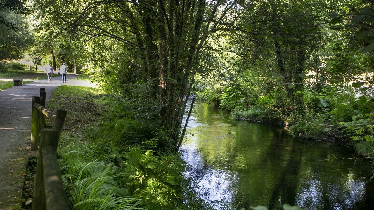 Outes consensuará un acuerdo para custodiar el río Tins como colofón al proyecto Renatur