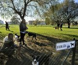 Perros y due�os en el parque canino de O Bert�n. 