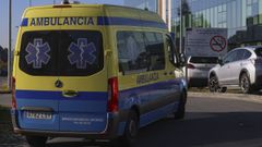 La v�ctima tuvo que ser trasladada en ambulancia a un centro hospitalario para recibir asistencia m�dica.