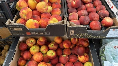 Espa&ntilde;a prev&eacute; una buena cosecha de la fruta de hueso
