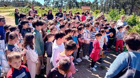Foto de archivo de una plantaci�n de camelias que realizaron los alumnos del CEIP Pilar Maest� de A Pobra