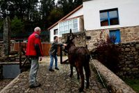 La casa se inaugur� con su licencia municipal preceptiva y lleva funcionando ocho a�os.