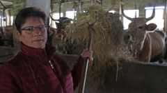 �Os xabar�ns estanme arruinando, hai d�as que non podo nin comer�