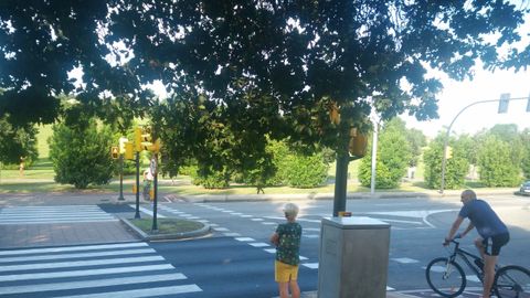 Zona arbolada en Pumar�n