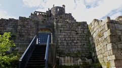 El castillo de Ribadavia, perteneciente hist�ricamente a los condes de Sarmiento, alberga hoy en d�a un moderno auditorio, donde se celebra la Mostra Internacional do Teatro. Aunque no se encuentra en un excelente estado de conservaci�n, todav�a conserva una importante necr�polis de piedra del siglo IX y un sepulcro, adem�s de gran parte de su muralla.