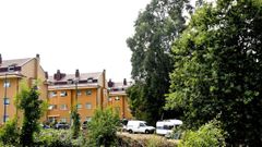 Coruxo, otro ejemplo. La situaci�n que viven desde hace a�os en Coruxo, con arboles pegados a las casas de As Roteas, supone un peligro si hay incendios como el vivido en el 2017, que su por virulencia y velocidad de expansi�n oblig� a desalojar parte de esta parroquia para garantizar la seguridad de los vecinos.     