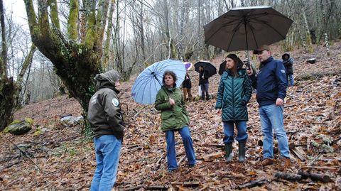 La conselleira y el alcalde durante su visita a uno de los soutos incorporados a este proyecto