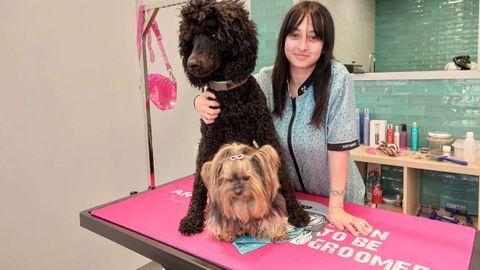 Sirio y Axia acompa�an a Ana todos los d�as en el establecimiento de Valent�n Masip.