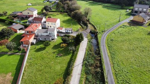 Vista del cauce del Basteiro, oculto bajo la maleza,muy cerca delas viviendas