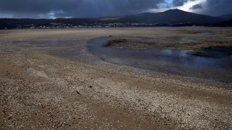 Imagen tomada en febrero, con la playa de Testal sembrada de marisco muerto