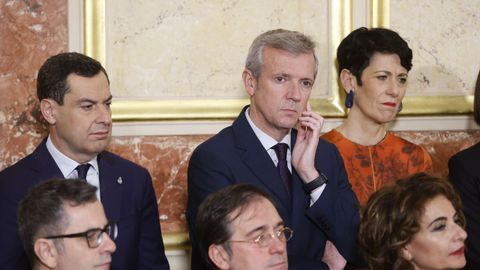 El presidente de la Xunta, Alfonso Rueda, durante los actos celebrado este mircoles en el Congreso