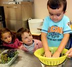 Los j�venes vendimiadores conocen varios tipos de uva; la albari�a, la catalana o la m�tica tinta barrantes.