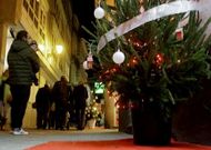 rboles navideos ambientan desde hace das las calles comerciales de Viveiro.