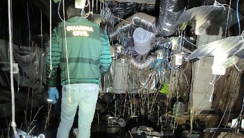 Los detenidos en O Carballi�o ten�an un laboratorio �indoor� con un enganche el�ctrico ilegal