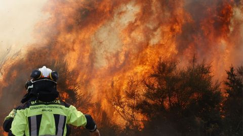 Bomberos de Málaga en A Gudiña.