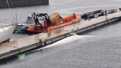 En la imagen, el cet�ceo que apareci� flotando junto a la Esengra