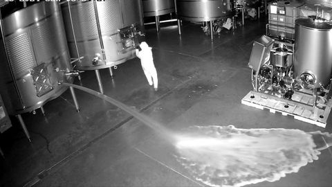 Una encapuchada se cuela en una bodega vallisoletana y derrama 60.000 litros de vino