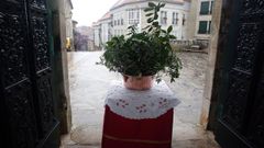 Bendici�n de Ramos en Cambados