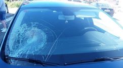 Estado en el que qued&oacute; el parabrisas del autom&oacute;vil a ra&iacute;z del atropello ocurrido en la avenida de Cambados