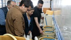 Villaverde, durante su recorrido por las instalaciones de A Ostreira en Barizo, Malpica 