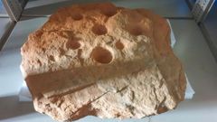 Pieza relacionada con ritos funerarios que est guardada en el Museo do Castro de Viladonga tras haber aparecido en el yacimiento