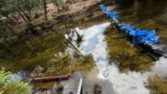 L�nea de sacos para contener agua y mantener sumergida la captaci�n complementaria para Ponte Caldelas en el Verdugo