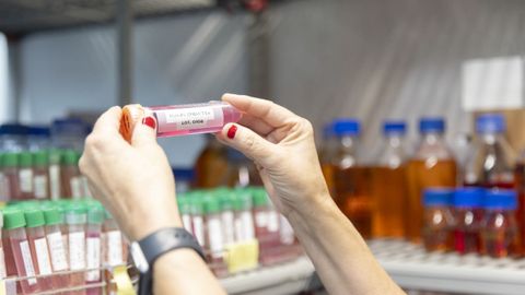 Anticuerpos generados por el CNIO a partir de las investigaciones de los ganadores del Nobel de Medicina