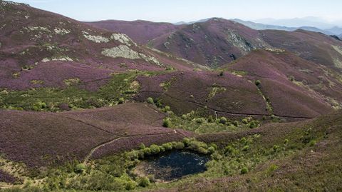 Paisaje desde el camino de la ruta de la laguna de A Lucenza