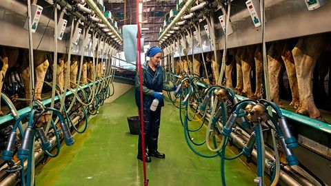 En lo que llevamos de a�o se recogieron 35 millones de litros menos que en el 2024