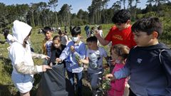 Las imágenes de la jornada de desbroce de Voz Natura en el parque natural de Corrubedo