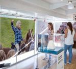 La exposici�n se podr� visitar en el interior de un tr�iler.