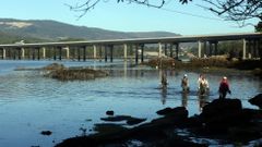 Labores de b�squeda de Diana en el puerto de Tarago�a