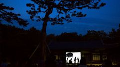 Espect�culo de sombras.