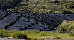 El vertedero lleva varios a�os clausurado, aunque las obras para su sellado se iniciar�n en breve. 