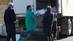 Registro en la depuradora Jos� Mar�a Daporta e Hijos en Tragove, Cambados