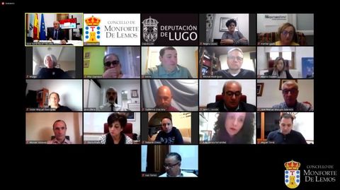 Captura de pantalla de uno de los plenos celebrados por la corporaci�n por v�a telem�tica